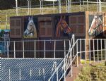 Salford Flood Basin Unveiled